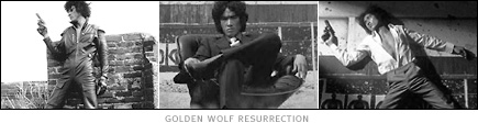 picture: scenes from 'Golden Wolf Resurrection'