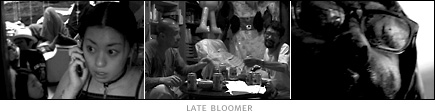 picture: scenes from 'Late Bloomer'