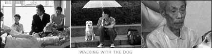 picture: scenes from 'Walking with the Dog'